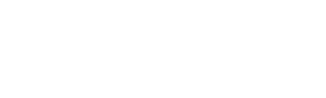 Logo de Nasstoys